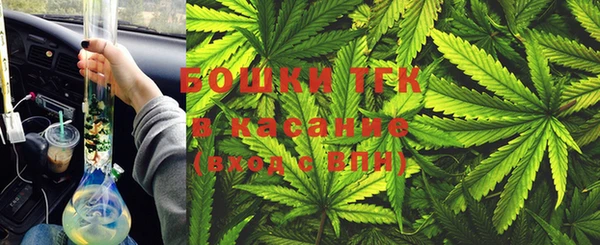 трава Иннополис