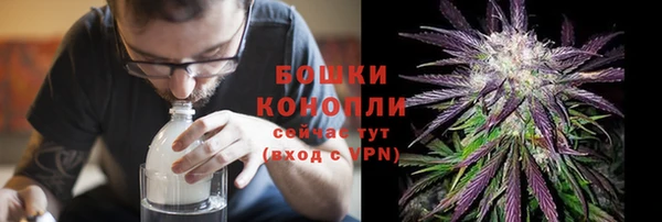 хмурый Инта