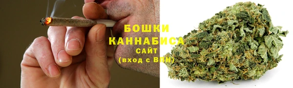 трава Иннополис