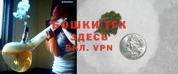 хмурый Инта