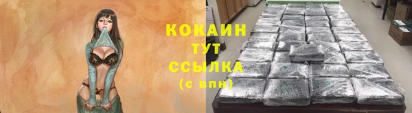 трава Иннополис