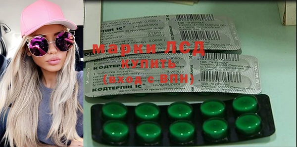 хмурый Инта