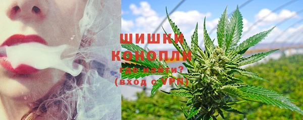 хмурый Инта