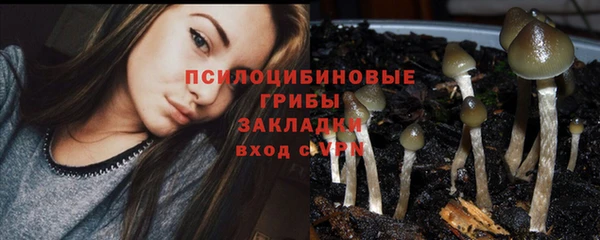 трава Иннополис